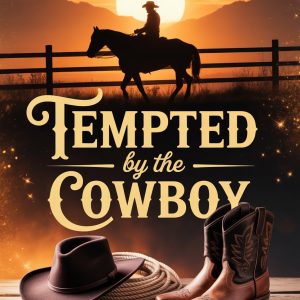 Western Romance Book Cover – Cowboy Sunset